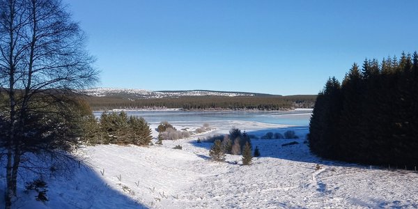 Boucle en "petite Finlande lozérienne": lac de Charpal, - Truc de Fortunio - Signal de Randon