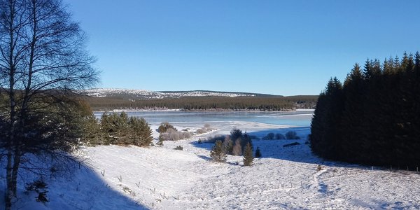 Boucle en "petite Finlande lozérienne": lac de Charpal, - Truc de Fortunio - Signal de Randon