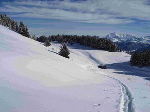 Les Hauts d'Hautecours et le plateau du Bozon