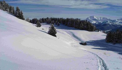 Les Hauts d'Hautecours et le plateau du Bozon