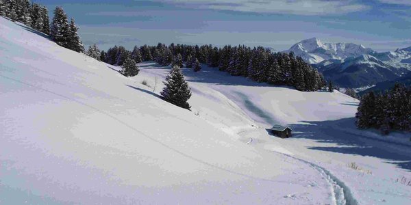 Les Hauts d'Hautecours et le plateau du Bozon