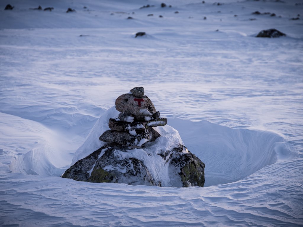 DSC_3035.jpg