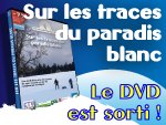 Sur les traces du Paradis blanc : 1er dvd dédié au ski de randonnée nordique