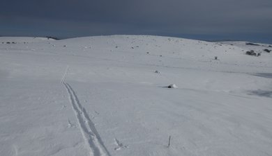 Aubrac, être dans l'air