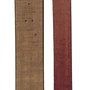 Skis Altai Hok