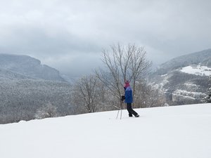 col du Liorin depuis Bois Barbu