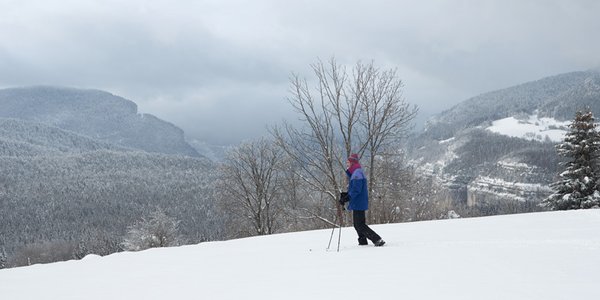 col du Liorin depuis Bois Barbu