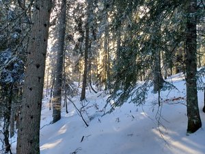 Grosse poudre à Méaudre