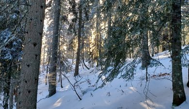Grosse poudre à Méaudre