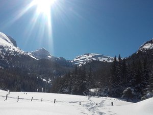 vallon de la Fauge (villard de lans)