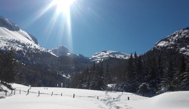 vallon de la Fauge (villard de lans)