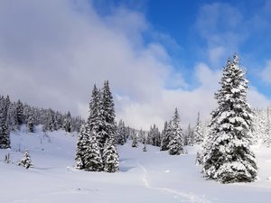 Herbouilly - Darbounouse