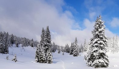 Herbouilly - Darbounouse
