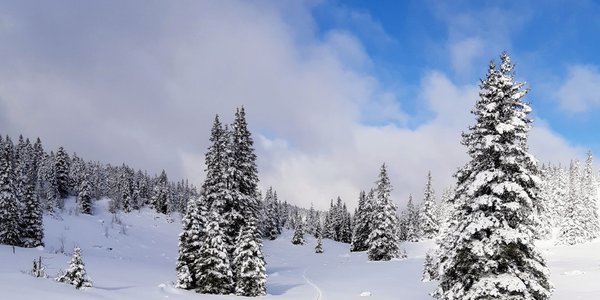 Herbouilly - Darbounouse