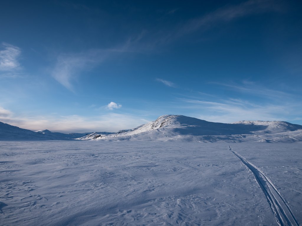 DSC_3019.jpg