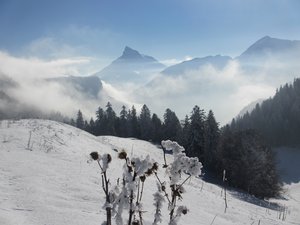 Les 3 cols en Chartreuse