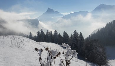 Les 3 cols en Chartreuse