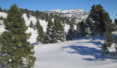 De Rousset/Les Liotards à Chaumailloux