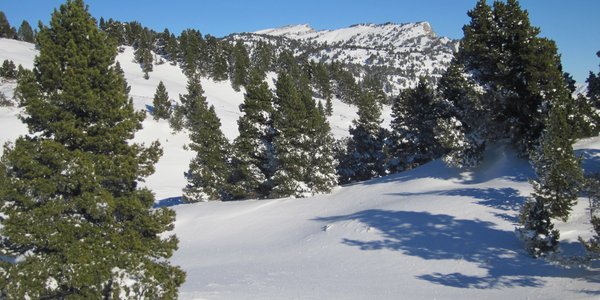 De Rousset/Les Liotards à Chaumailloux