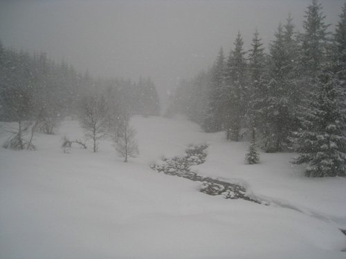 Traversée de la Margeride