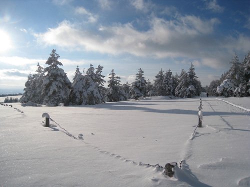 Traversée de la Margeride