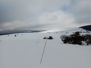 Prabouré aux Allebasses