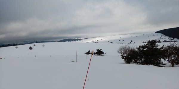 Prabouré aux Allebasses