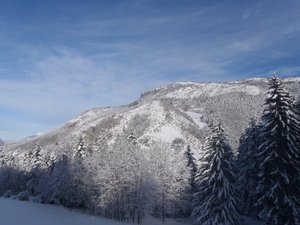 Parc de l'Aigle - Croix des Suifs