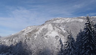 Parc de l'Aigle - Croix des Suifs