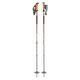Black Diamond Traverse Ski Pole