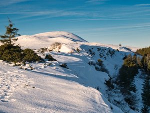 Vrai début de saison au Puy Loup