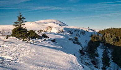 Vrai début de saison au Puy Loup