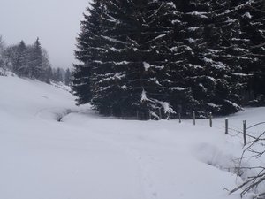 Cascade de l'Olette