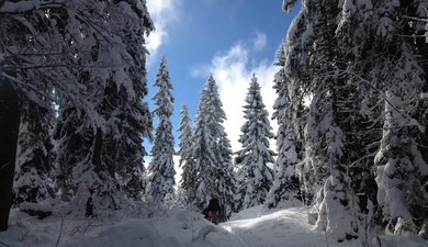 Le grand 8 du Marchairuz