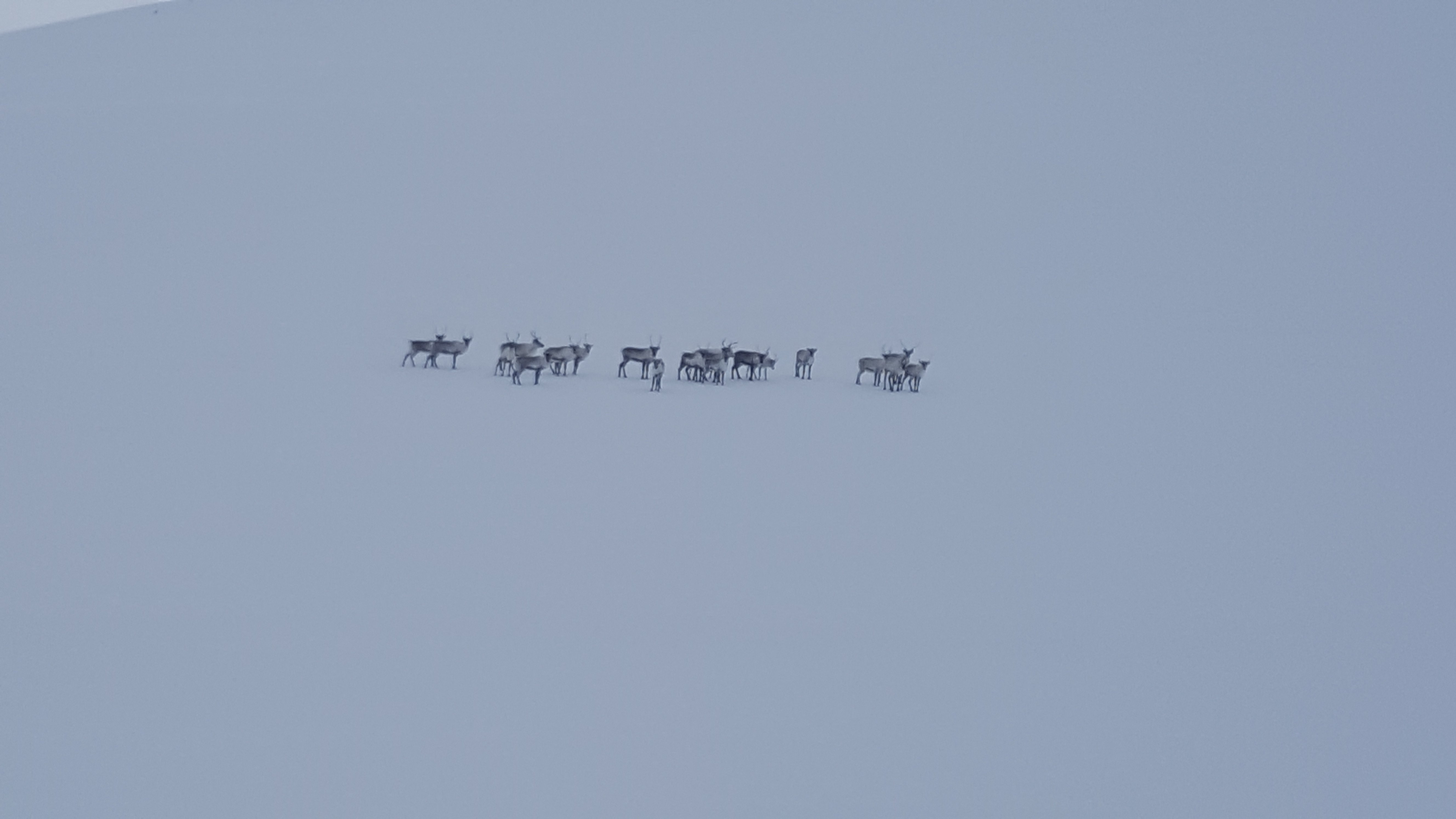 20220324_123546.jpg