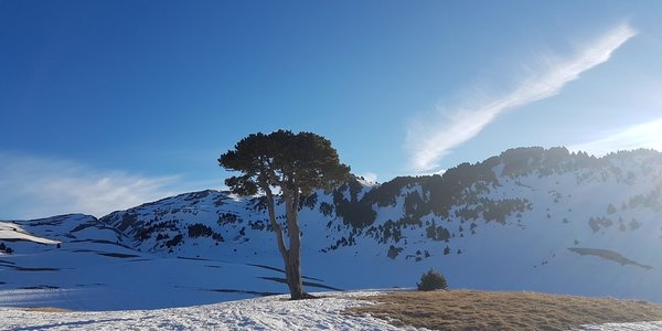 Beure – Refuge de Pré Peyret – Cabane des Aiguillettes – La Grande Cabane