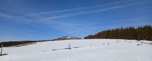 20250218_104105.jpg