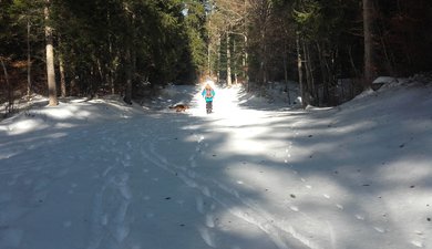 plateau de geve