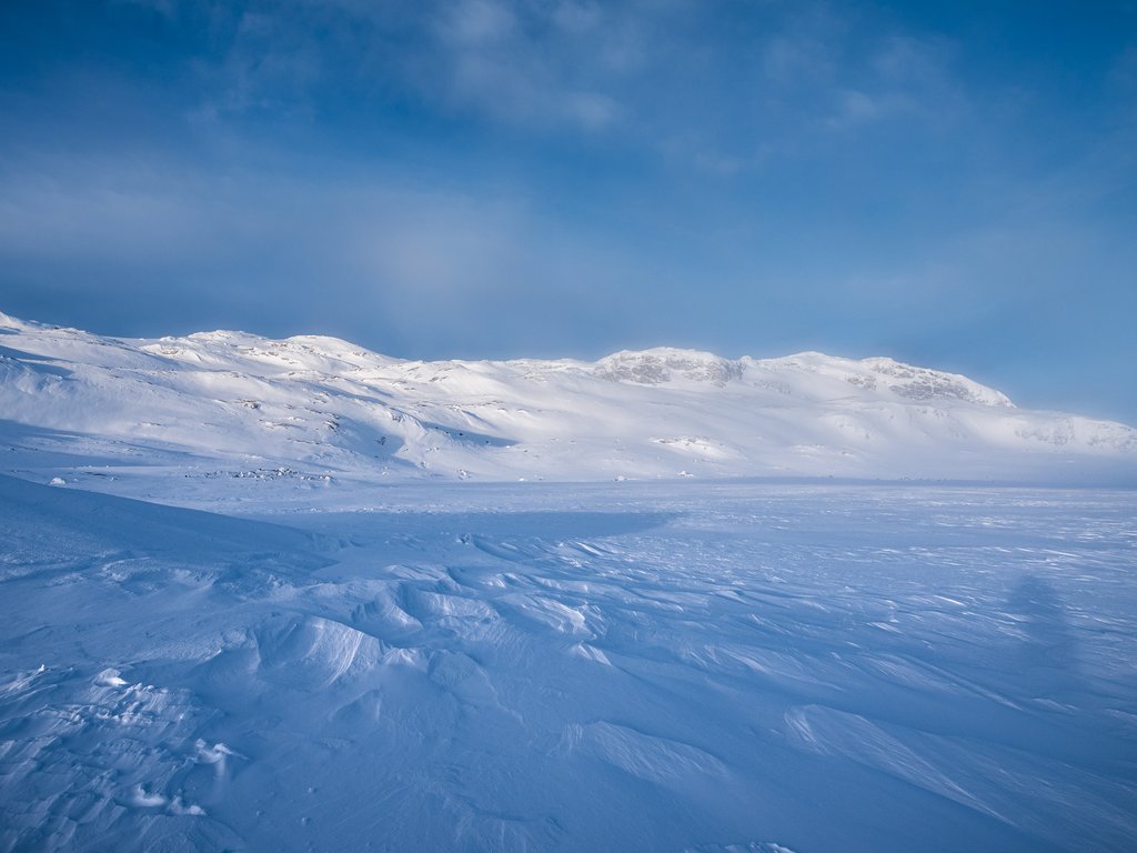 DSC_3013.jpg