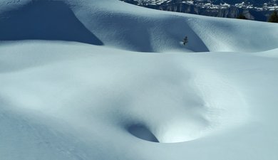 Pipay dans tous ses éclats