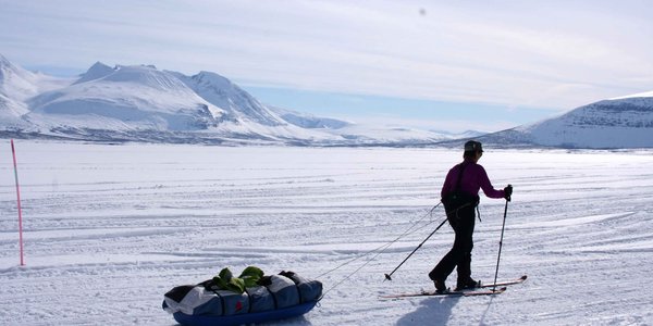 Vagabondage Sarek avril 2019