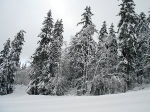 Premières neiges au Mont Margeriaz