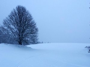 Un petit tour chez la comtesse sous la neige