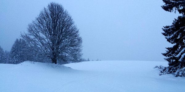 Un petit tour chez la comtesse sous la neige