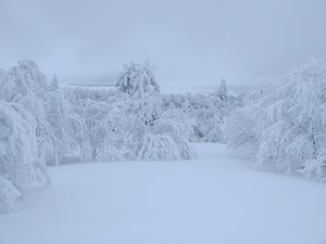 Ballade sur les Hautes Chaumes du Forez