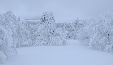 Ballade sur les Hautes Chaumes du Forez