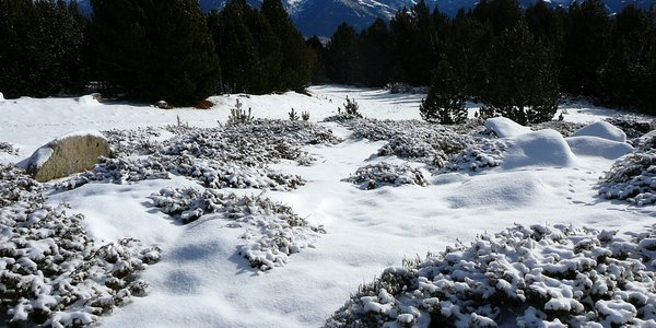 La Calme - Pic dels Moros (Font-Romeu)