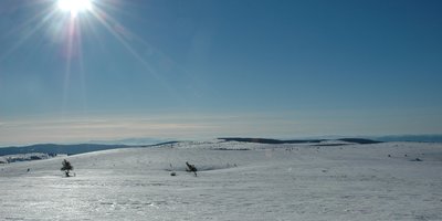 Découvrez les superbes Monts du Forez !