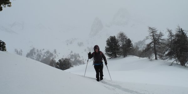 Les Alpages de Fontantie depuis Montbardon