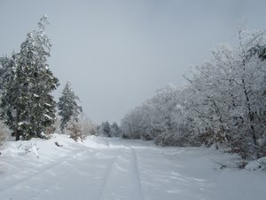 Le Moure de la Gardille